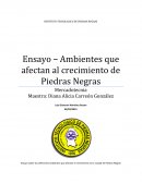 Ensayo – Ambientes que afectan al crecimiento de Piedras Negras