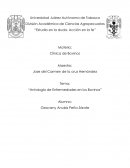 Antología de enfermedades en los bovinos