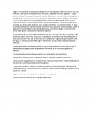 Constructivismo Piaget