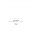 Productos Pasivos y Activos en la Banca de Personas