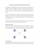 TOPOLOGÍA DE RED E INFORMACIÓN SEGURIDAD