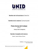 Ensayo sobre la abogancia