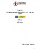 Proyecto: Plan para mejora de la autoestima en la empresa Coppel