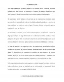 EQUIPOS MULTIDISCIPLINARIOS