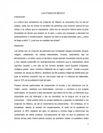 LAS ETNIAS EN MÉXICO. Página 1