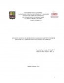 DISEÑO DE MODELO DE MEDICIÓN DE CALIDAD DE SERVICIO A PARTIR DE LA ESCALA SERVPERF PARA ELECTROTÉCNICA IMO, C.A