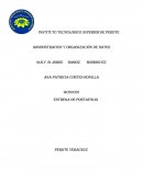 Administracion y organización de datos