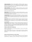 TEORICAS DE ENFERMERIA