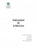 PORTAFOLIO DE EVIDENCIAS. Investigación aplicada