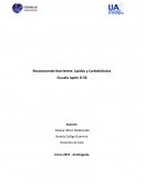 ¿Descubriendo en forma cacera lípidos y carbohidratos en los alimentos?