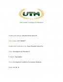 Investigación Cualitativa Tecnonautas Honduras