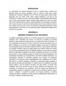 DIMENSION COSMOPOLITA DEL SER HUMANO