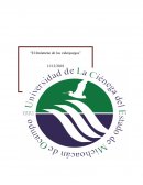 El fenómeno de los videojuegos