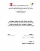 GENERANDO CAMBIOS EN LAS ACTIVIDADES AGRICOLAS MEDIANTE LA UTILIZACION DE ABONOS ORGANICOS