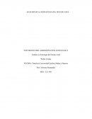 ANALISIS DE LA ESTRATEGIA DEL OCEANO AZUL