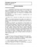 Plan Fines 2 Informatica