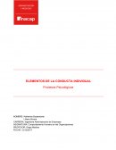 ELEMENTOS DE LA CONDUCTA INDIVIDUAL. Procesos Psicológicos