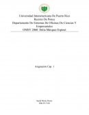 Departamento De Sistemas De Oficinas De Ciencias Y Empresariales