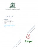 Proyecto integrador de chiles jalapeños “XALAPEN”