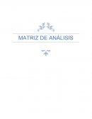 Matriz de análisis. Stakeholders