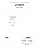 Programa de Medicina Medicina General