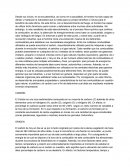 Combustibles. CARBÓN