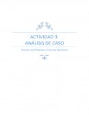 Análisis de Caso Actividad 3.Solución de Problemas y Toma de Decisiones