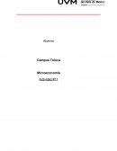 Actividad 11 Microeconomia las compañías de AIG