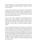 Análisis de caso- Elon Musk