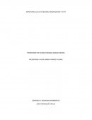 IMPORTANCIA DE LAS FUNCIONES ORGANIZACIÓN Y STAFF