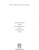 DISTRIBUCIÓN DE LA RED FACULTAD TECNOLOGICA