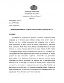 CAMBIOS FISICOS Y REACCIONES QUIMICAS