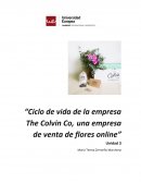 Ciclo de vida de una empresa de ventas de flores online