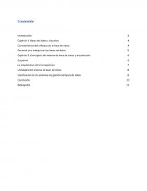 Informatica, gestión de bases de datos. Página 2