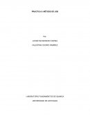 PRACTICA 5: MÉTODO DE JOB