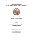 Reporte Inorganica (Fe2+, Fe3+)