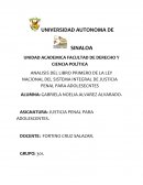 ANALISIS DEL LIBRO PRIMERO DE LA LEY NACIONAL DEL SISTEMA INTEGRAL DE JUSTICIA PENAL PARA ADOLESECNTES