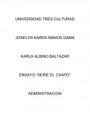 ENSAYO “SERIE EL CHAPO” ADMINISTRACION