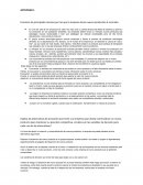 Actividad empresa lanza nuevos productos al mercado