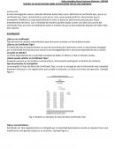 REPORTE DE INVESTIGACIÓN SOBRE CERTIFICACIÓN TIPO DE UNA AERONAVE