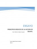 Principios básicos de la acción de un grupo participativo