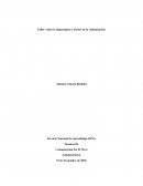 Taller sobre la importancia y niveles de la comunicación