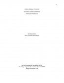 AUDIO SHOP & TUNING : DISTRIBUCIÓN Y ESTRATEGIA DE LAS VENTAS