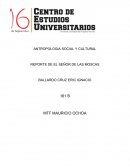 ANTROPOLOGIA SOCIAL Y CULTURAL. REPORTE DE EL SEÑOR DE LAS MOSCAS