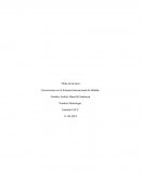 Conversiones en el Sistema Internacional de Medida