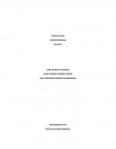 MICROECONOMIA COLANTA