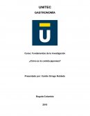 GASTRONOMÍA. Cocina japonesa