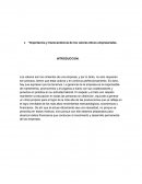 Importancia y transcendencia de los valores éticos empresariales