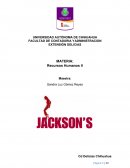 Trabajo final administración de recursos humanos empresa Jackson´s