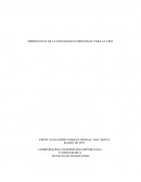 IMPORTANCIA DE LA INTELIGENCIA EMOCIONAL PARA LA VIDA